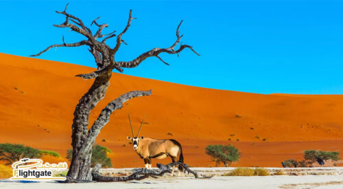 بلیط هواپیما نامیبیا